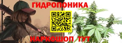 ПСИЛОЦИБИНОВЫЕ ГРИБЫ Обь